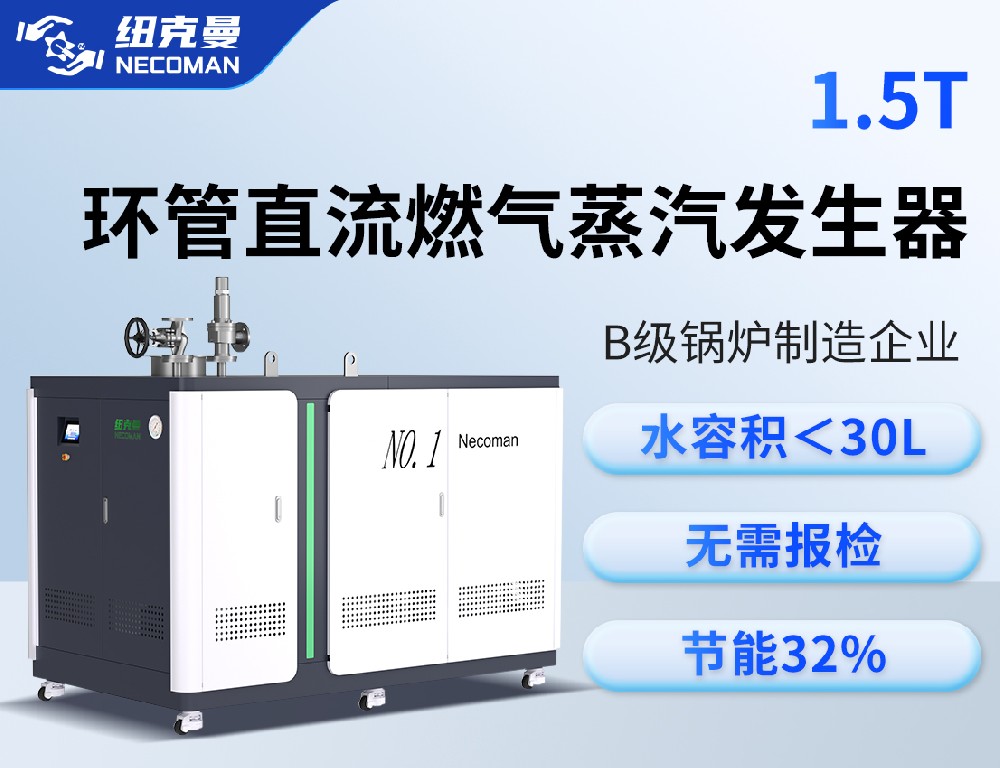 1.5噸 燃?xì)馊加驼羝l(fā)生器